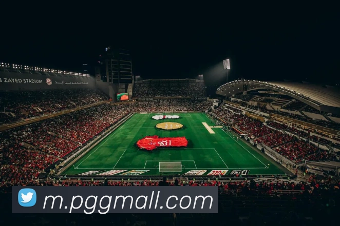 pgAPP 封面图